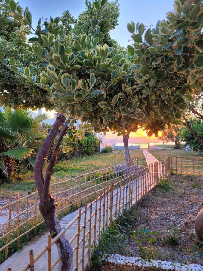 Villamare Nerántza Екстериор снимка